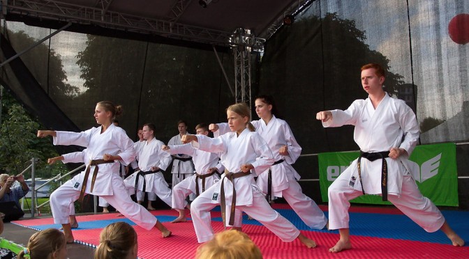 Tag des Sports 2014 – Karate