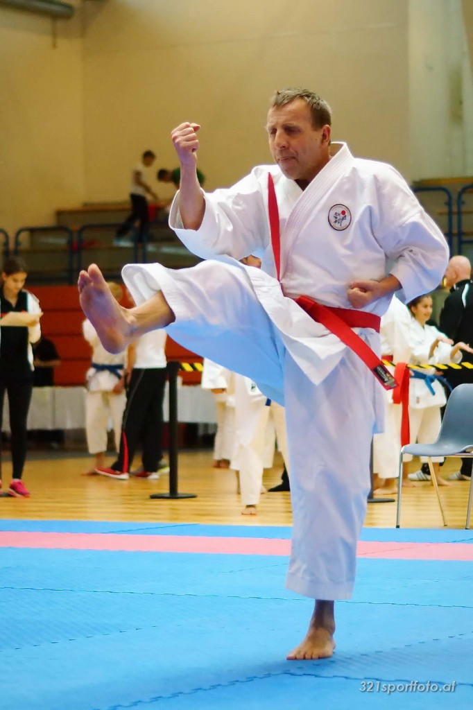 14th Vienna Open