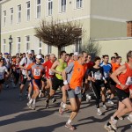 Pillichsdorfer Straßenlauf