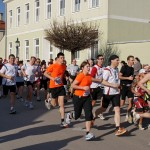 Pillichsdorfer Straßenlauf